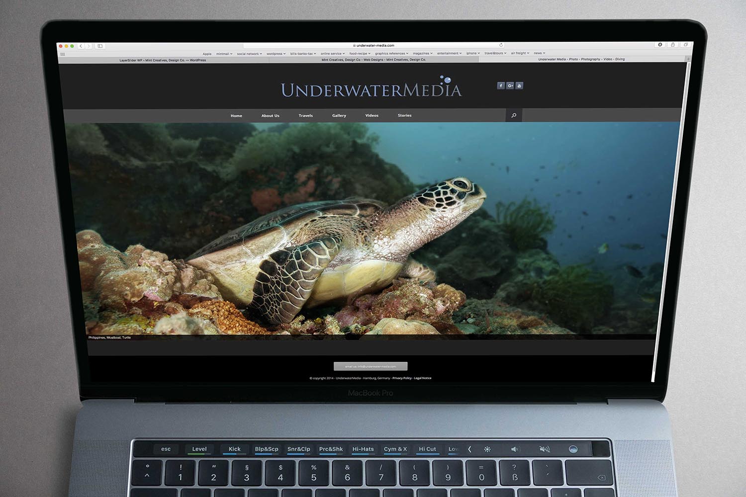 UnderwaterMedia Website - This image is copyright protected.